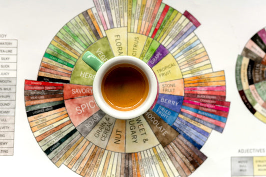 The 4 Pillars of Great Coffee - 4 Keys That Make or Break Great Coffee